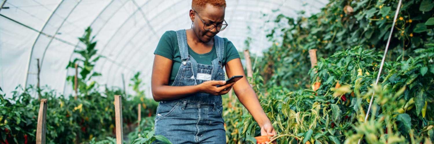 Agri-Business Development